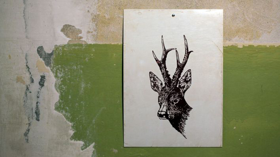 Zeichnung eines Hirsches an einer verwitterten Wand
© Susan Maria Hempel