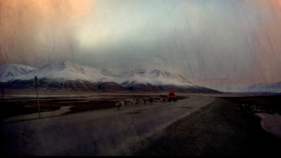 Spitzbergen
© WDR/Johann Otten Spitzbergen
© WDR/Johann Otten